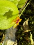 IMG_9698-1.jpeg